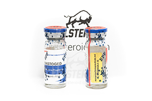 Вы можете купить Mastoged от EPF в Республике Беларусь на нашем сайте – отзывы, цена, описание стероида