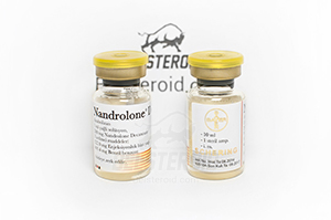 Купить Nandrolone Depot от Bayer Schering Pharma, отзывы, курс, цена Нандролон Депот в интернет-магазине